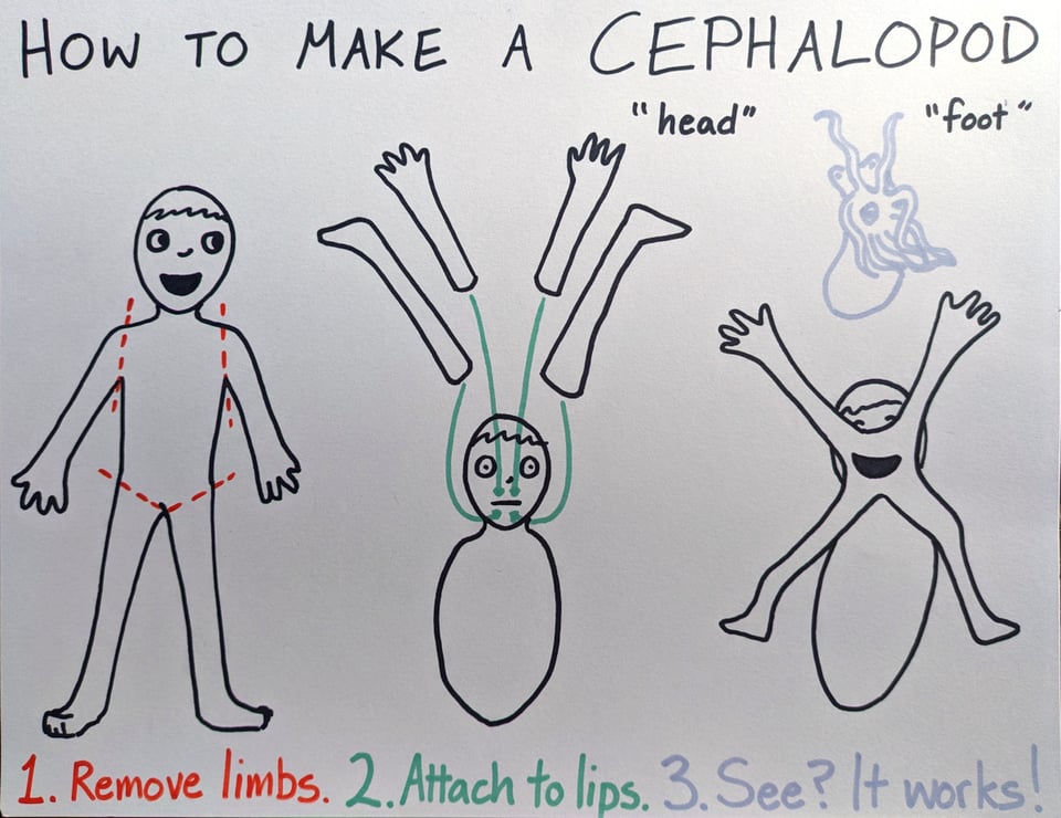 How to make a cephalopod. (With cartoony drawings) 1. Remove limbs. (Smiling human with dotted lines at shoulders and hips) 2. Attach to lips. (Human with flat mouth expression, just head and torso. Arms and legs are floating above with arrows pointing from them to lips) 3. See? It works. (Smiling human cephalopod with arms and legs around mouth. Drawing of an octopus shows anatomical similarity.)