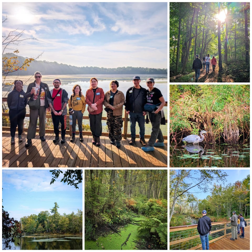 Some photos from our last hike at Beaver Lake!