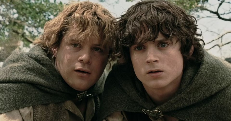 Samwise and Frodo are probably looking at some gnarly Middle Earth shit right now