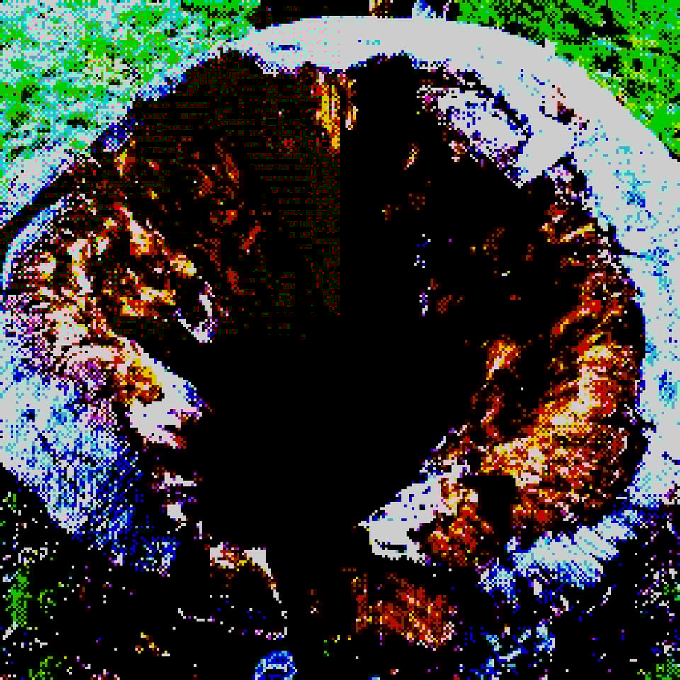 a pixelated image of a tree stump
