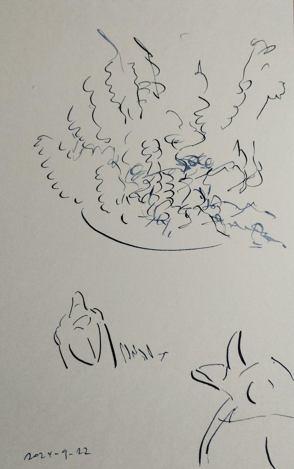 Abstract pen and ink drawing of Calluna vulgaris and a pair of drip feeder birds