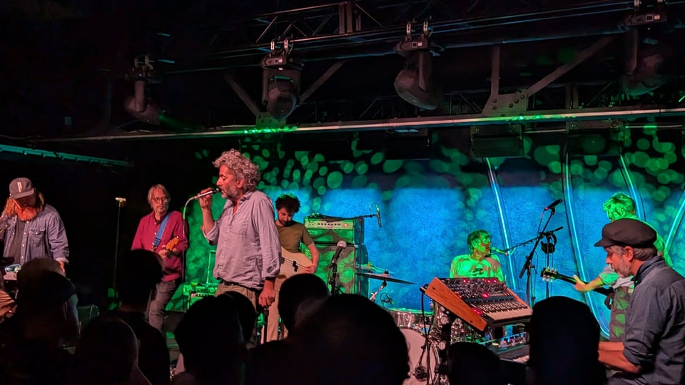 A shot from the crowd of a group of seven men on stage, playing various instruments, with one of them, Dan Bejar, holding a microphone delicately and singing. The stage is bathed in green lights.