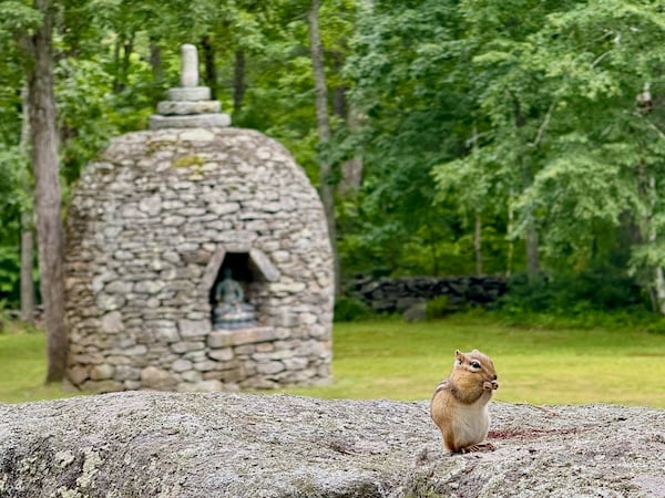 A chipmunk sits on a stone wall with its paws against its nose. Behind the wall is a stone stupa in a meadow surrounded by trees. The dome-shaped stone mound is topped by three discs and a short pillar. An irregular hexagonal opening in the stupa forms a niche in which a seated Buddha statue has been placed.