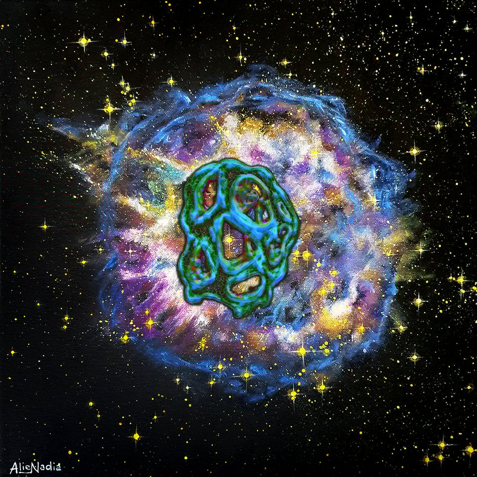 Un Festival di sorprese e un REGALO per te SOLO PER OGGI!