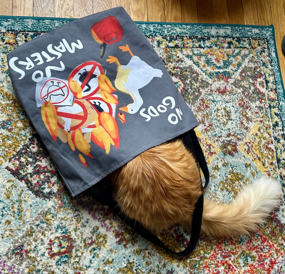 a fluffy orange and white cat's butt sticking out of a No Gods, No Masters tote bag