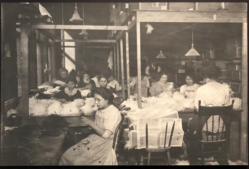 Black-and-white photo of young women in a high-ceilinged factory, busily processing mountains of feathers by hand, looking serious.