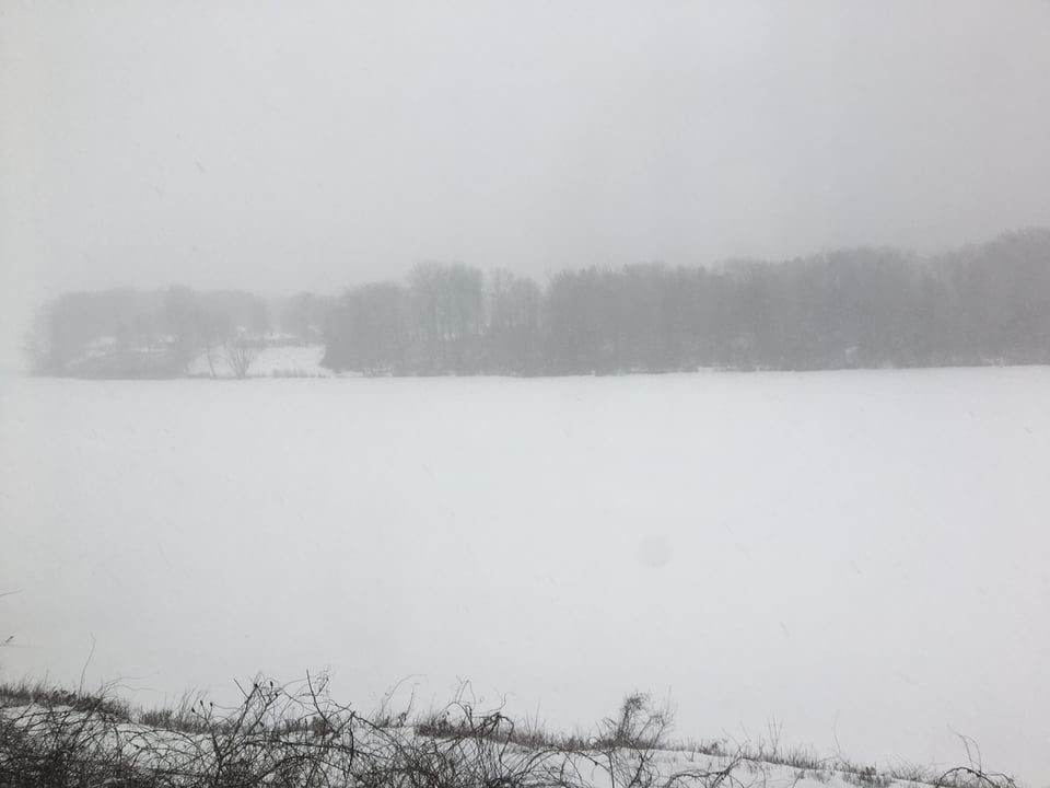 A monochromatic scene, almost completely white, of snow falling on a river.  There is a line of trees about halfway up the photo, and some underbrush on the bottom of the photo.