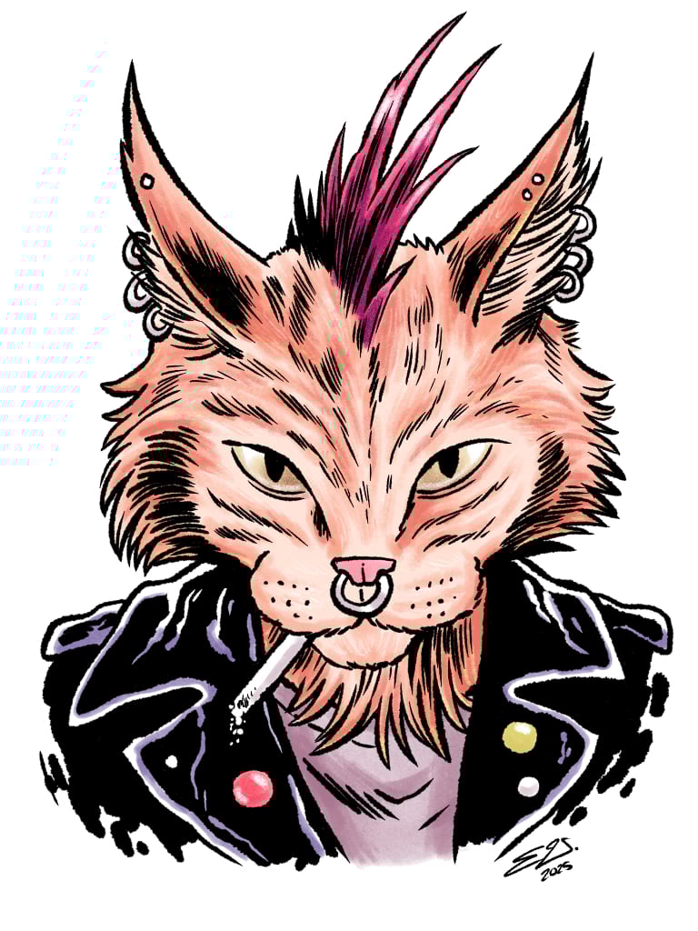 A punkified orange tabby cat