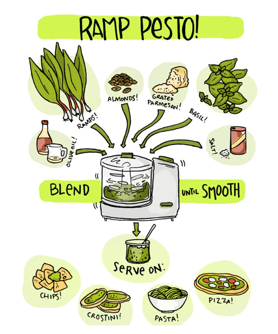 Ramp pesto: olive oil, ramps, almonds, grated parmesan, basil, salt. blend until smooth.