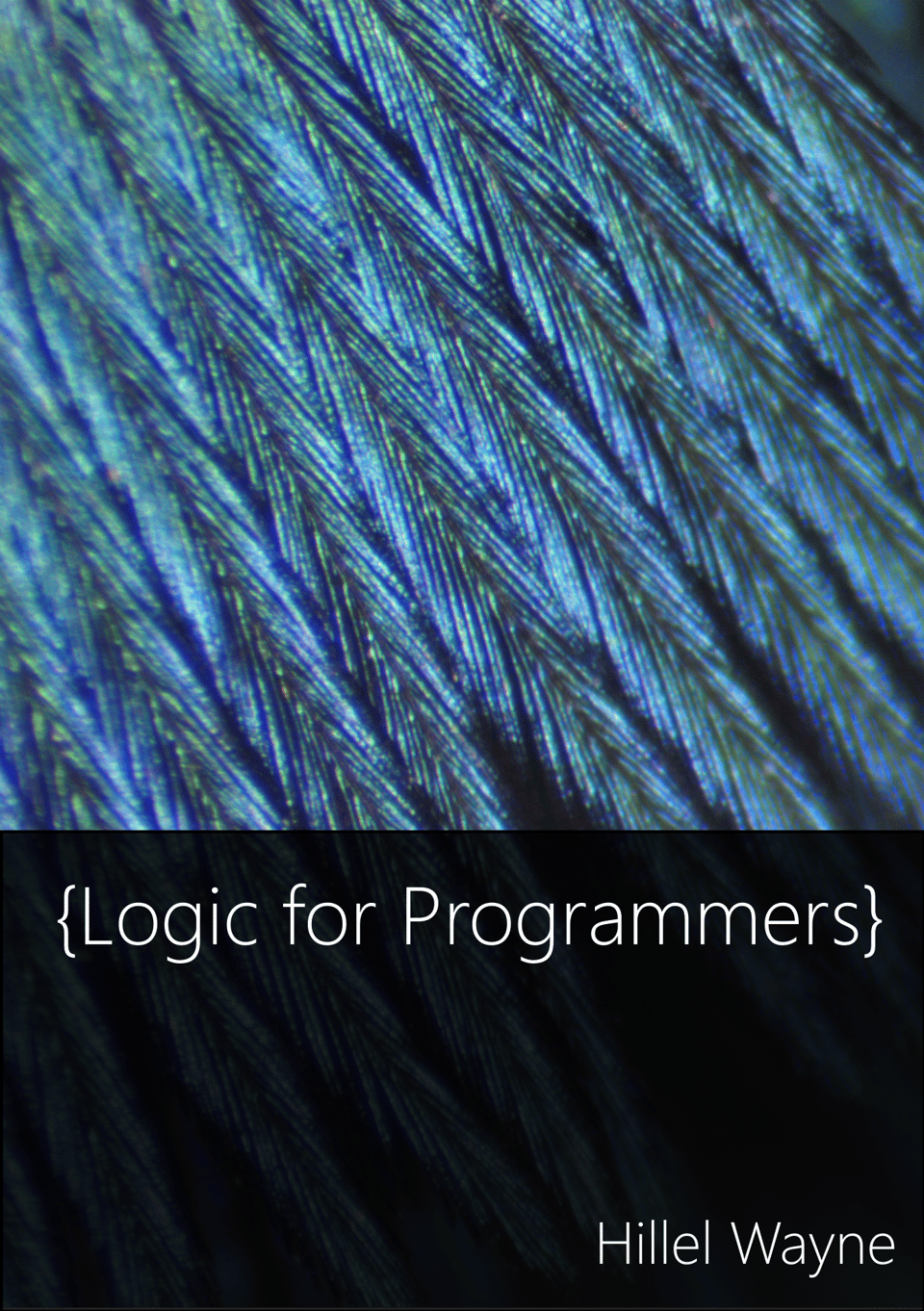The logic for programmers cover, a 40x zoom of a bird feather