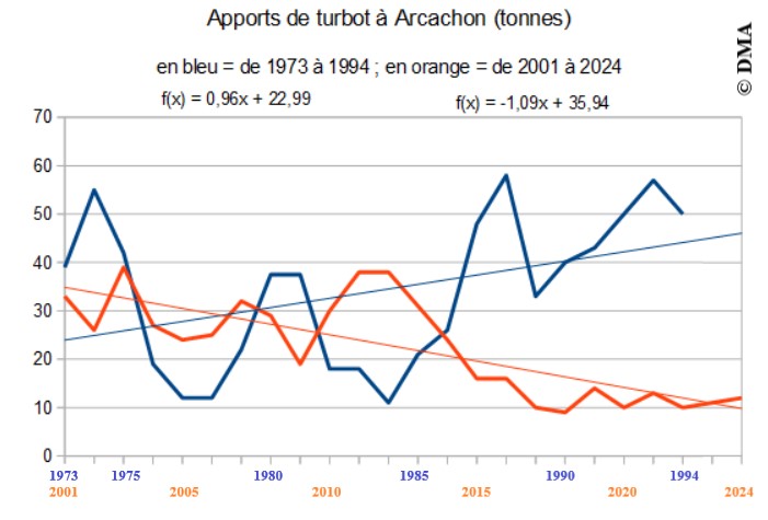 À Arcachon, les apports moyens de turbots entre 1973 et 1993 oscillaient encore autour de 34 tonnes. Entre 2002 et 2024, la moyenne des ventes en criée n'est plus que de 22 tonnes. Sur les dix dernières années, elle n'est plus que de 12 tonnes.