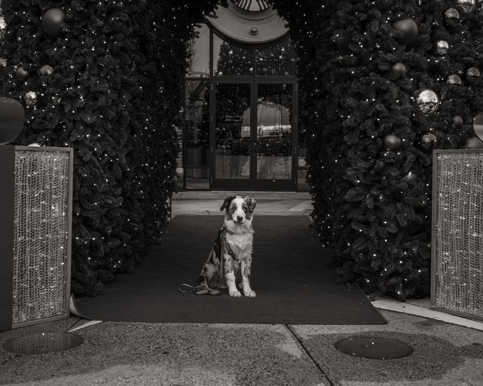 - Cody Schultz-4.jpg