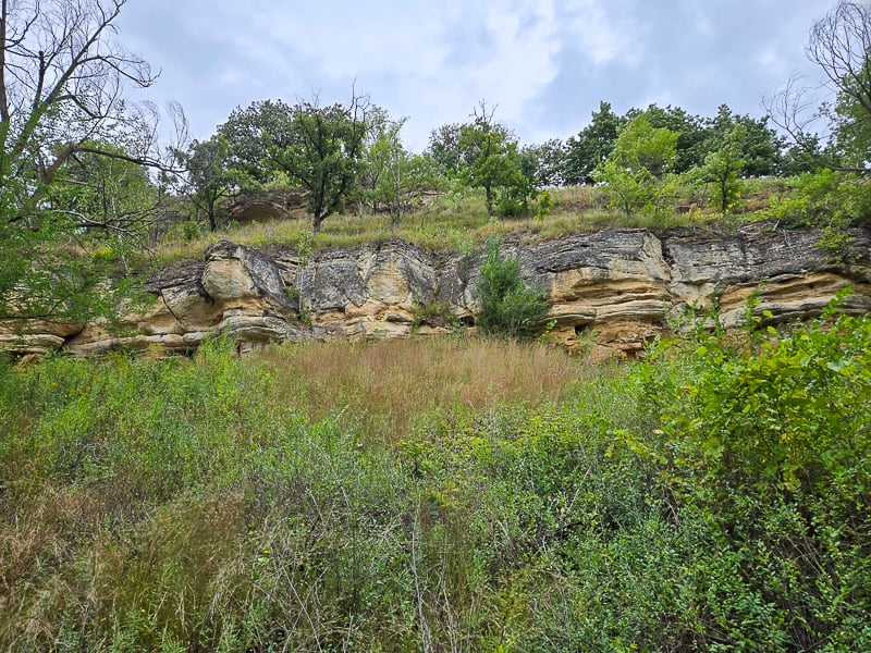 Any endangered timber rattlesnakes lurking in the bluffs along the Sandstone Trail, at all? We didn’t clamber up to check, but on parts of the trail you can see the stone up close. / Photo by Pamela Miller