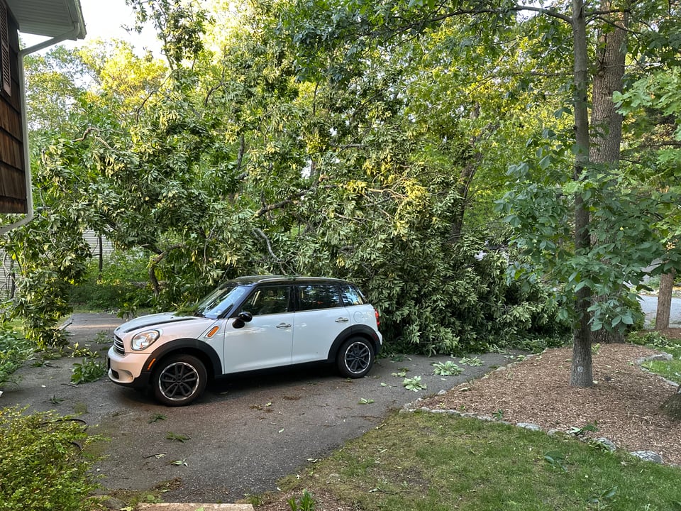 Photo of a white Mini Countryman in a driveway, with a big fallen tree right next to it, green leaves dominating the frame. Somehow, the tree has JUST missed the car.