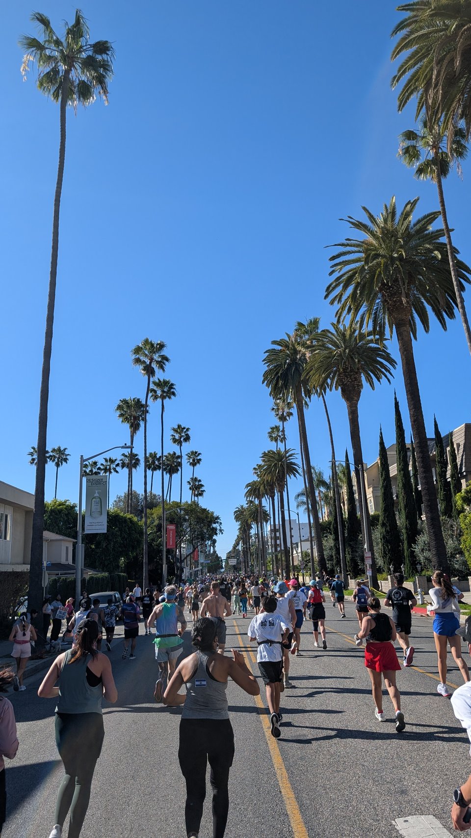 Runners on a sunny street in LA, tall palm trees bordering the street.