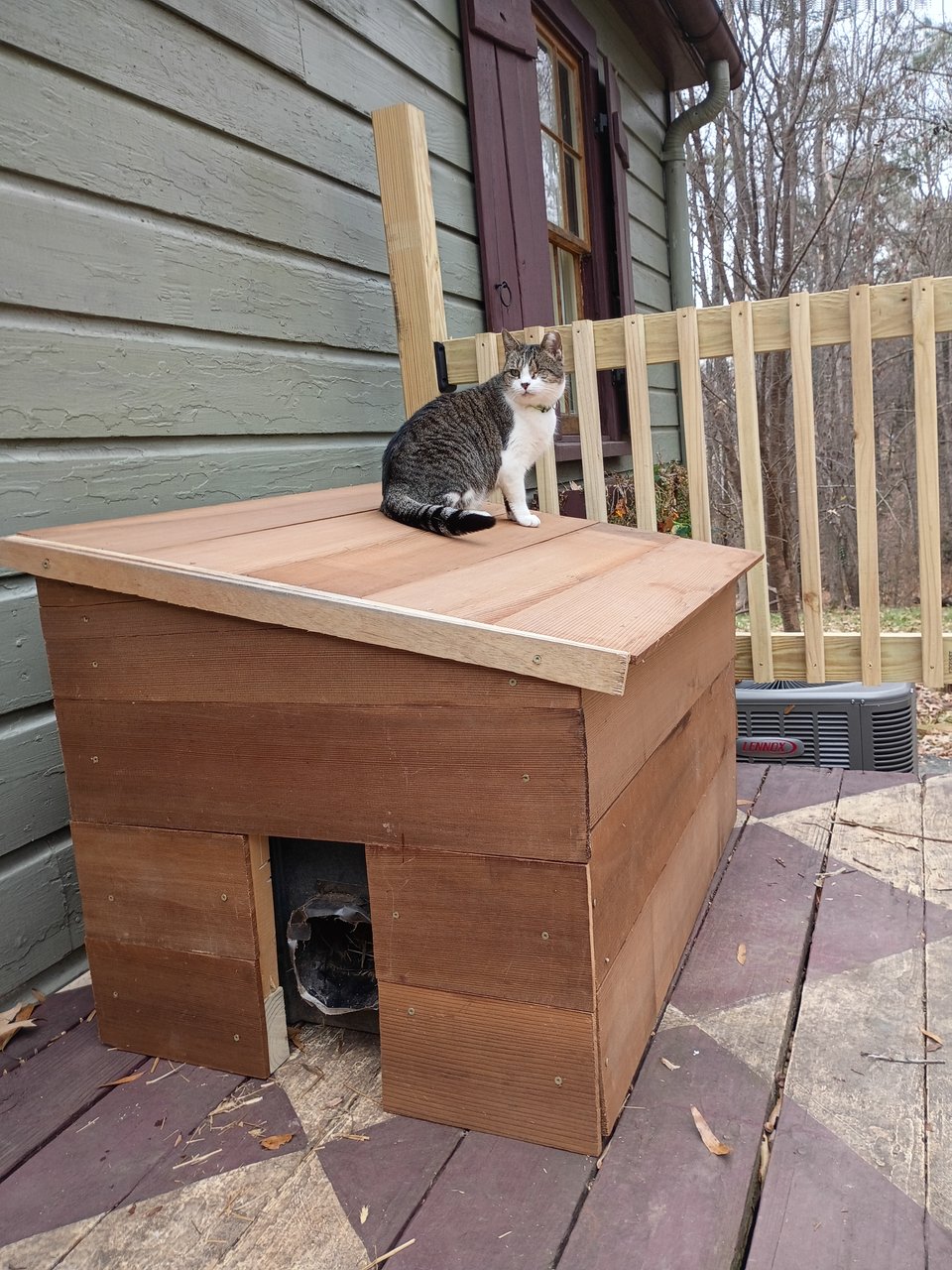 My cat Tip sitting on top of a house I built for a cat that lives outside.