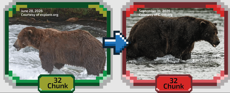 32 Chunk, the Grizzly Bear