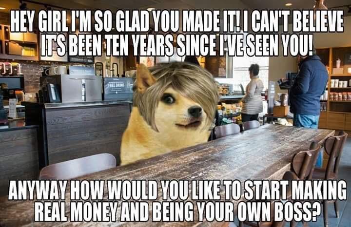 A doggo (sorry) with the Karen hair cut (sorry again) in a cafe and the text says "Hey girl I'm so glad you made it! I can't believe it's been ten years since I've seen you! Anyway how would you like to start making real money and being your own boss?"