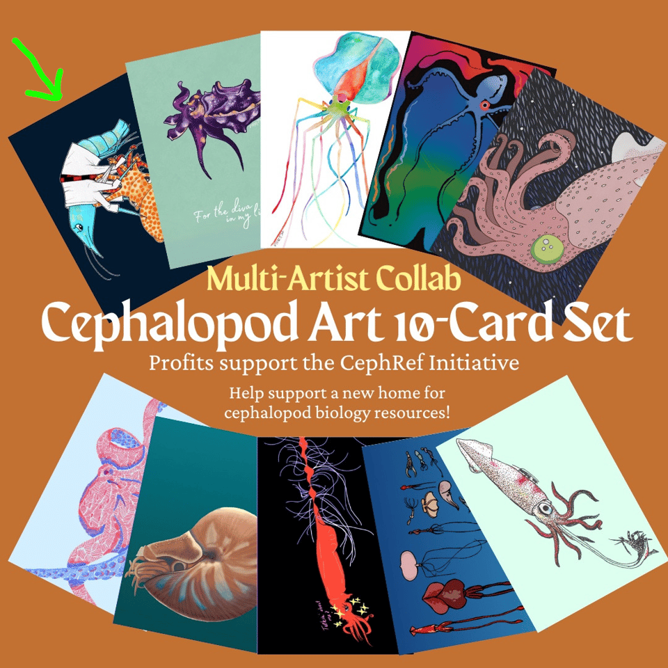 A graphic showcasing ten cards of various different cephalopods all drawn by different artists. Text reads “Multi-Artist Collab. Cephalopod Art 10-Card Set. Profits support the cephref initiative. Help support a new home for cephalopod biology resources.” A green arrow points toward my contribution: a drawing of a pygmy squid wrestling with a shrimp.
