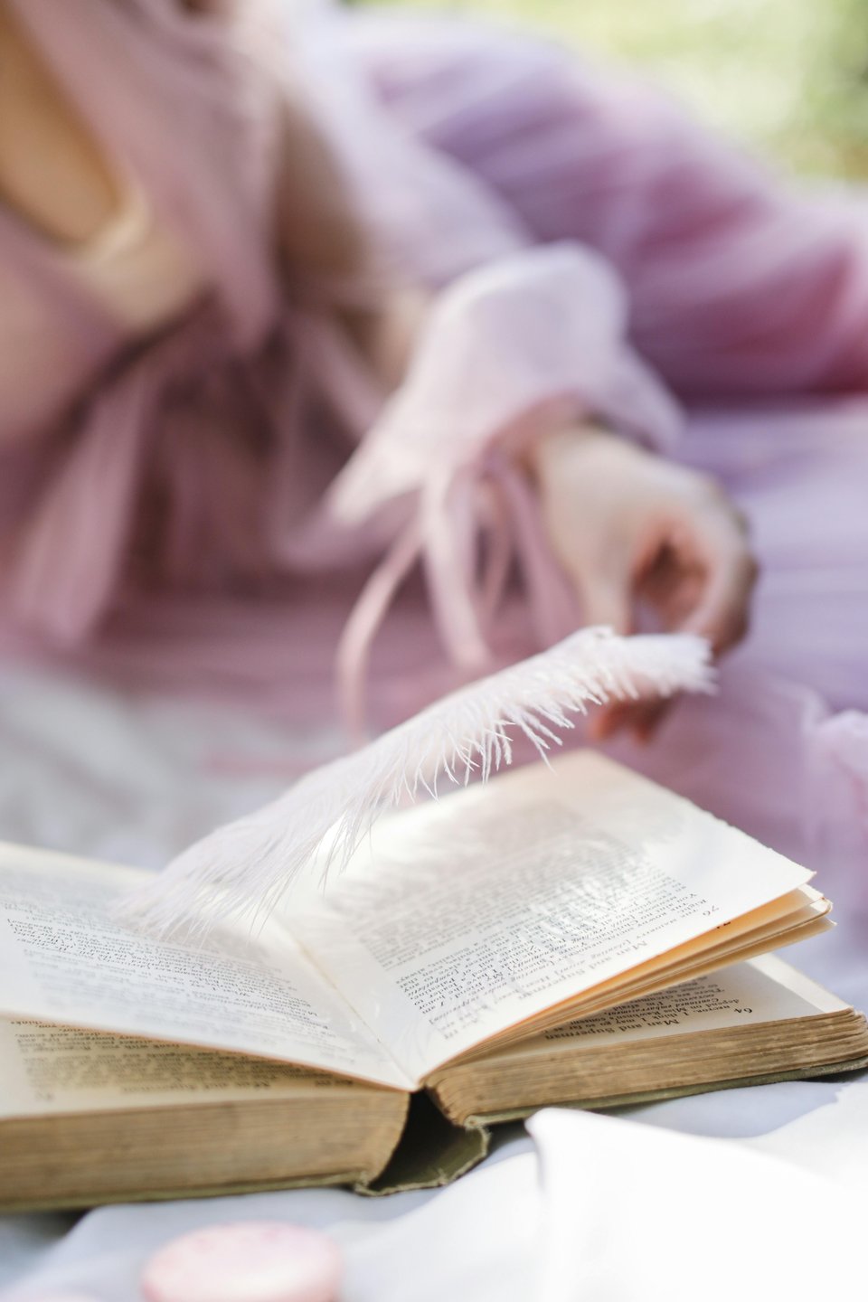 Stock image of someone reading an open book with a feather floating just above it.