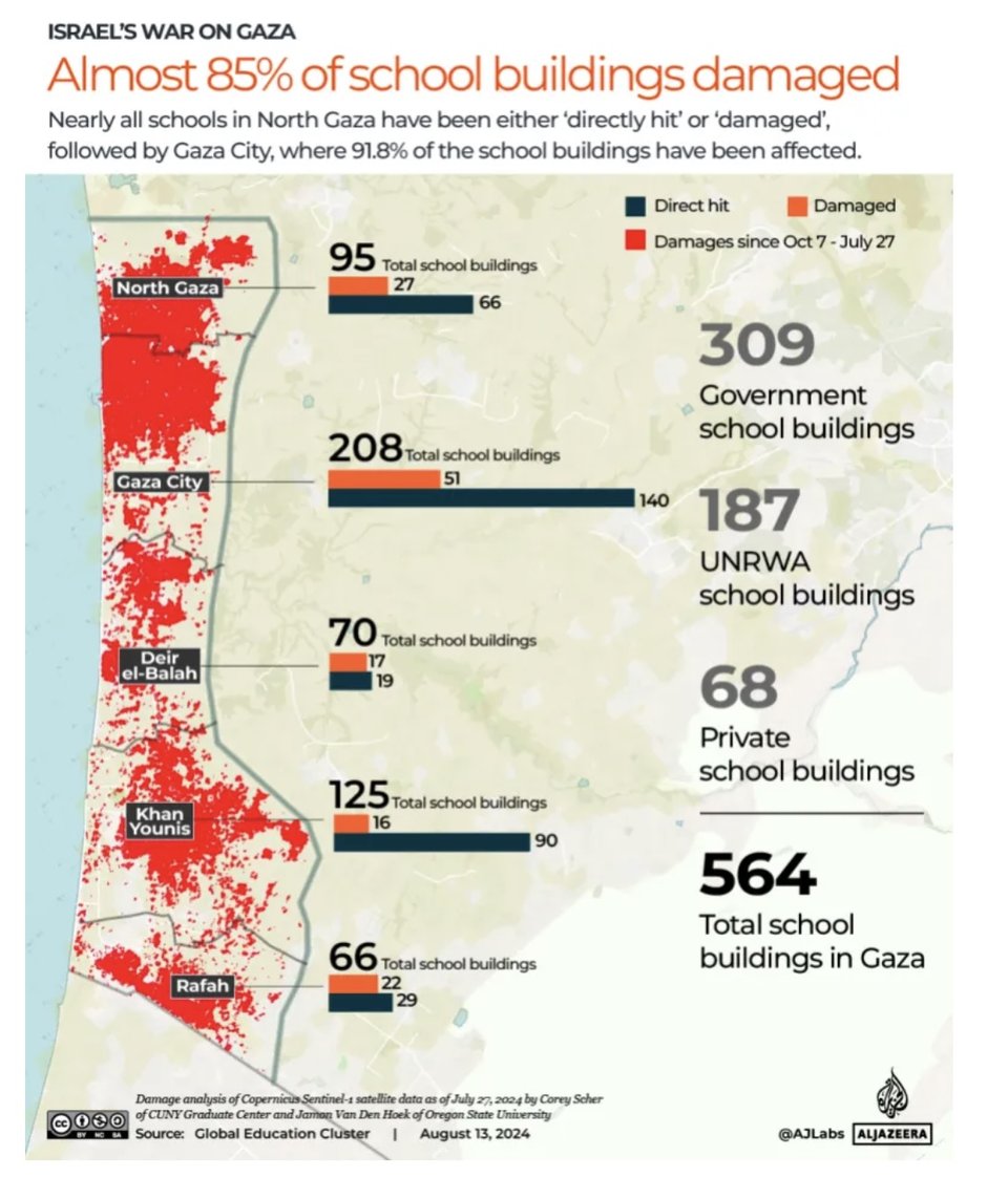 Municipal finance and divestment