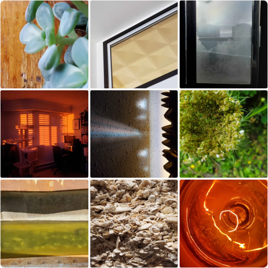 A collage of nine images: a small succulent on a table. A high window from one indoor space to another. A frosted winter view of high rises. An orange shuttered room. Rainbow light through a curtain. A flower, taken from close. Stripes of orange, beige and green (which are the inside of a construction vehicle's bucket). A rock made of compressed seashells. A red lightbulb.