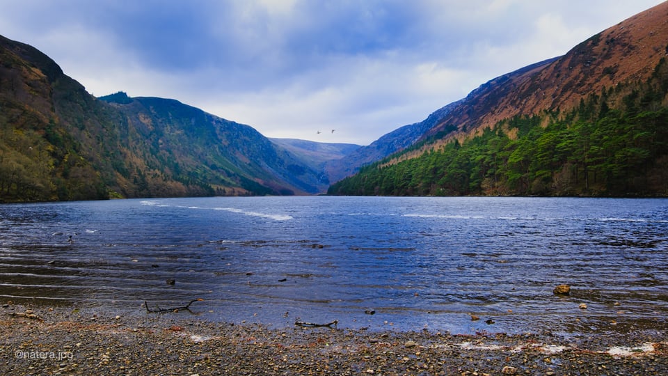 A view of a lake