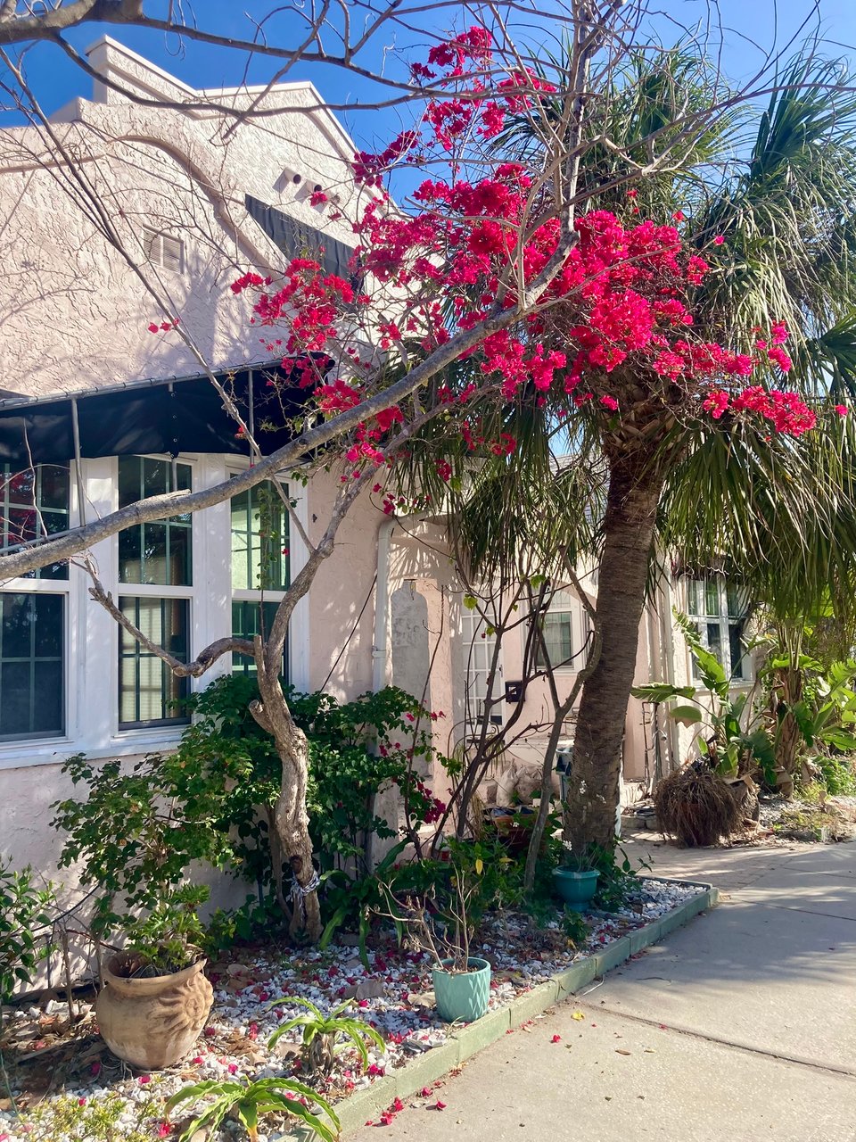 florilegia #4: the florida project