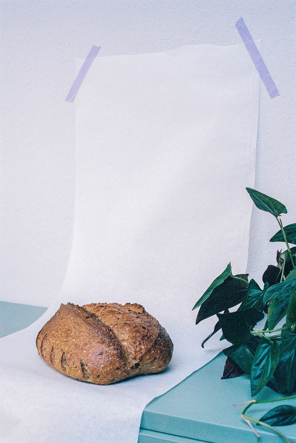 Bread