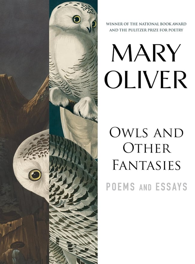 Book cover of Owls and Other Fantasies, including two owls