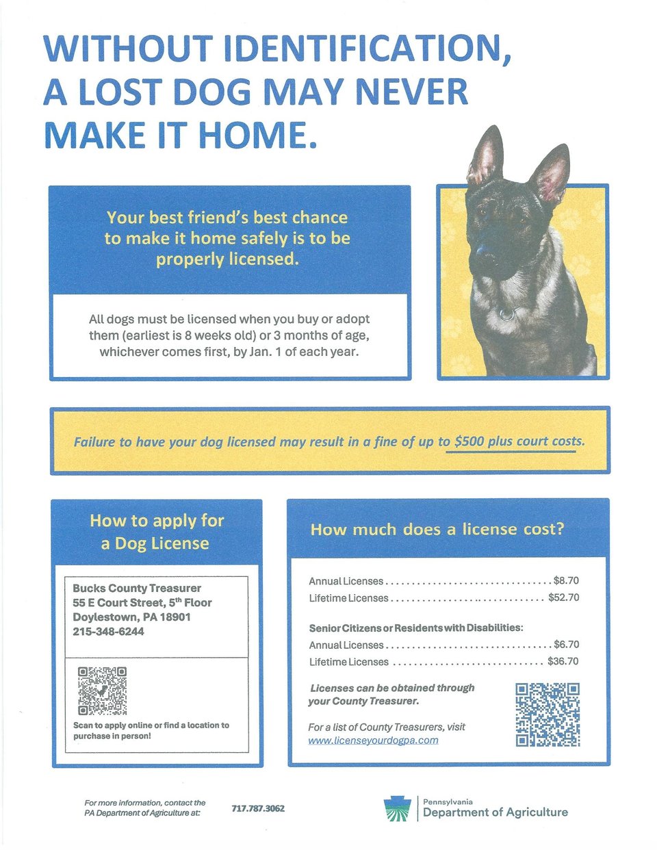 Dog License Information