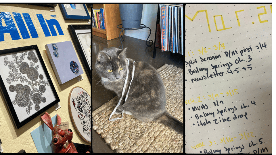 3 photos. L-R: partial shot of a gallery wall of art works, a gray cat sitting on a rug with a shoelace draped over her, and a partial to-do list of writing goals for March.