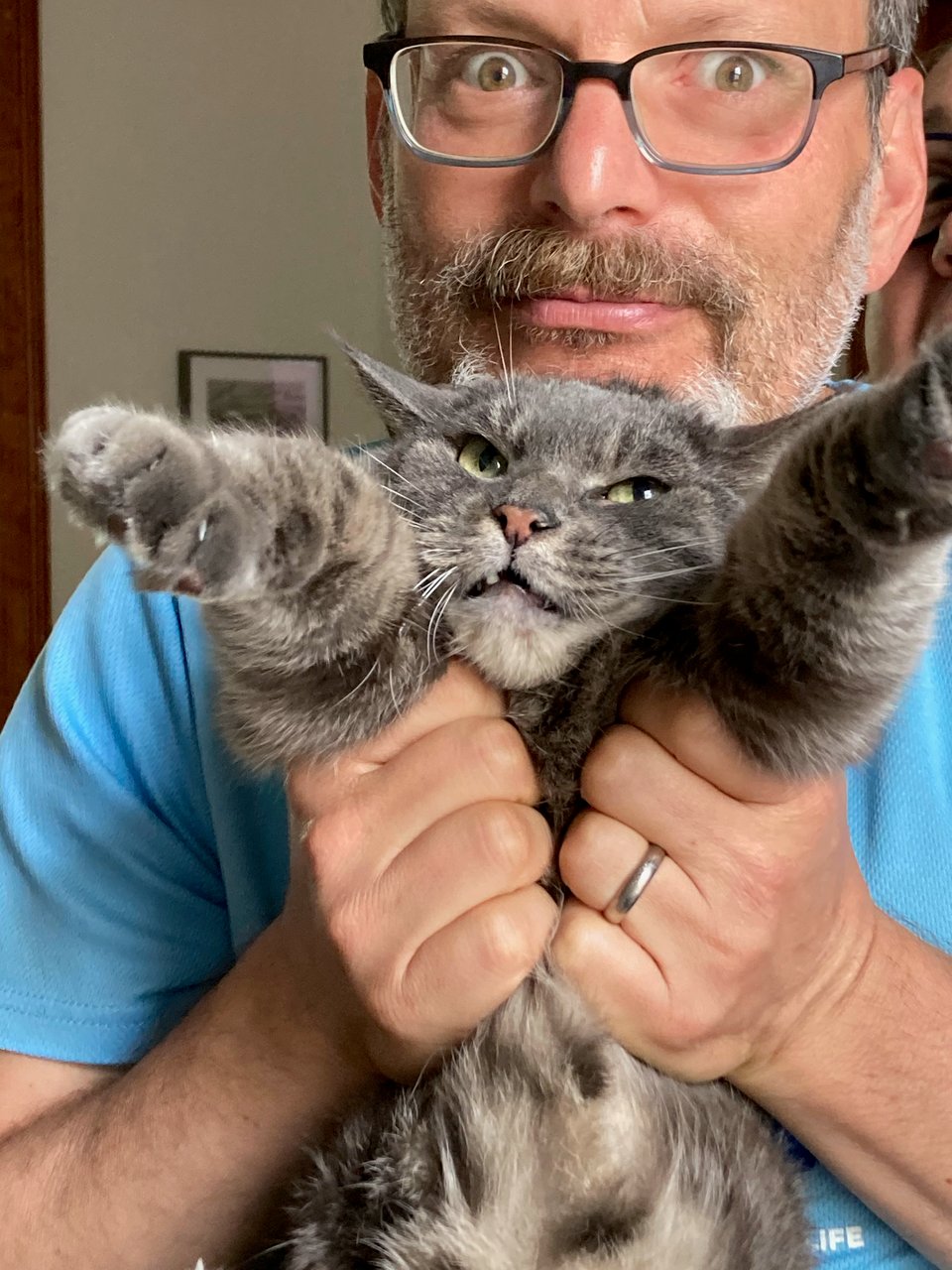 Lou Rosenfeld and his PAWS Domino