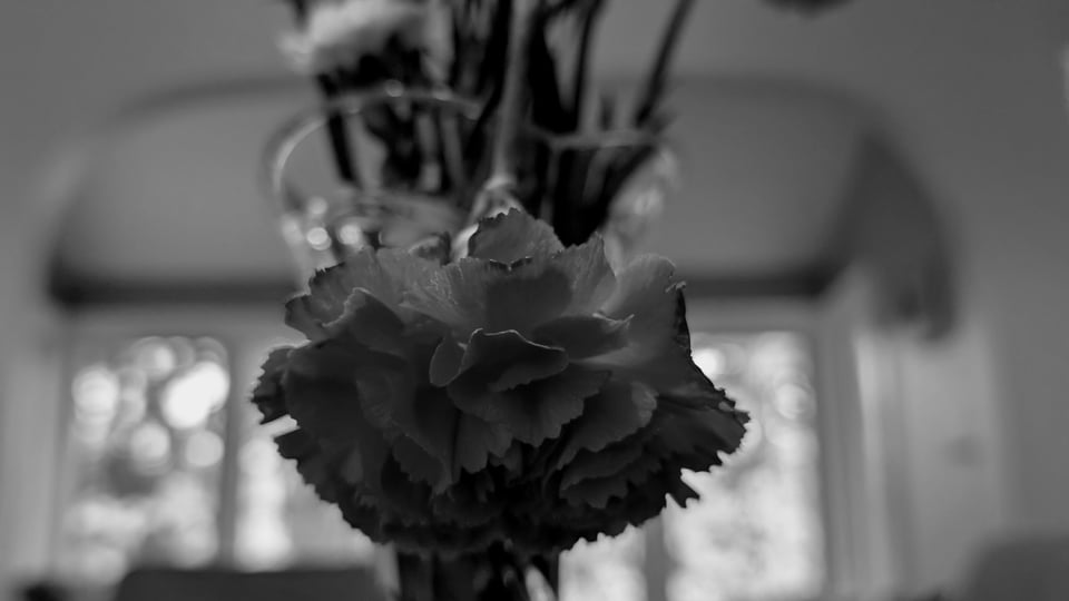 In a black and white photo, a single flower bent downwards toward the camera from a bouquet of flowers as if bowing its head.