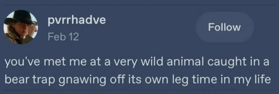 Tumblr screenshot.
pvrrhadve:
you've met me at a very wild animal caught in a bear trap gnawing its own leg off time in my life