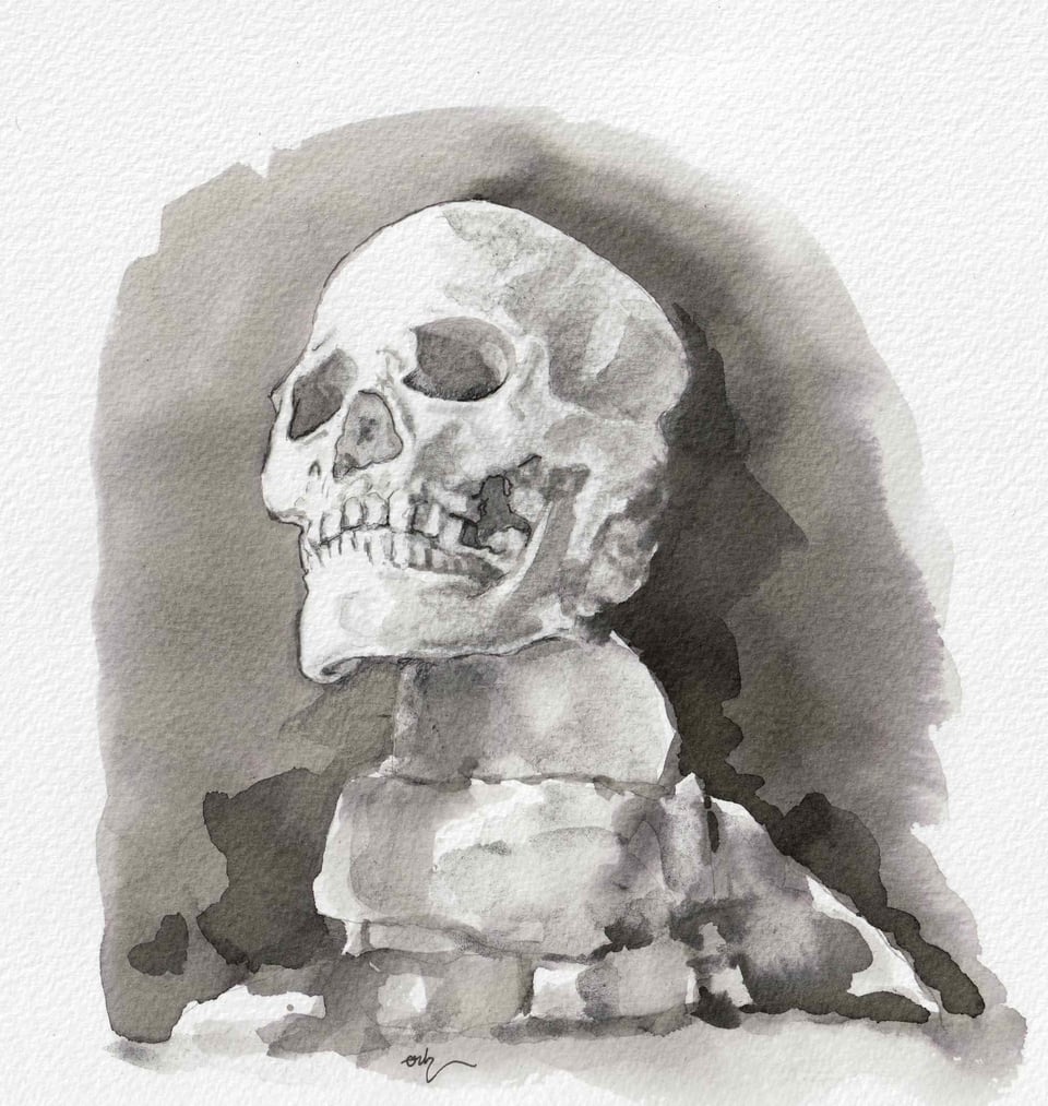 A skull on a rock
