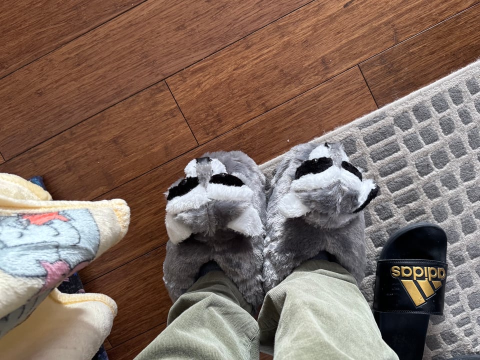 Picture of a person's legs and feet from the knee down. They are wearing green corduroys and fuzzy stuffed animal raccoon slippers, with a single Adidas slide sitting on a work gray rug.