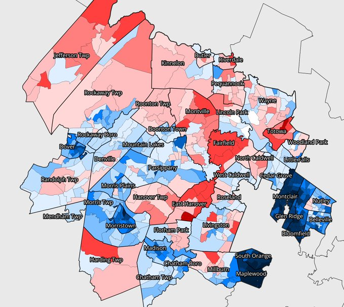 A maps showing overall votes in NJ11. It shows that the most densely populated areas all voted Democratic, many strongly so.