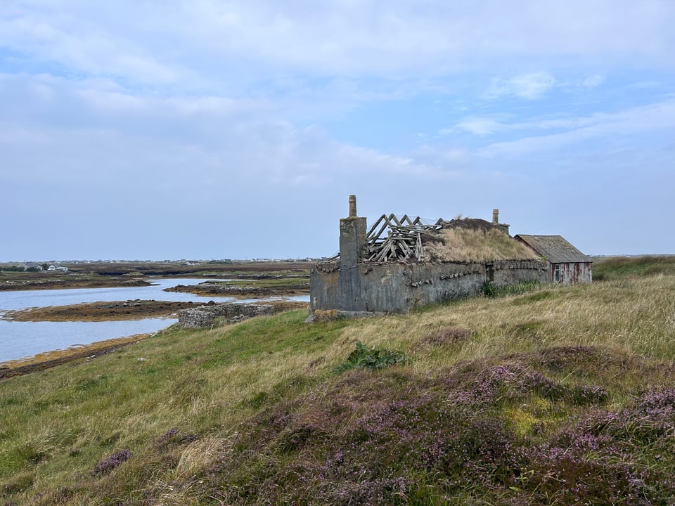 The double chimney Macaulay croft house on the edge of a bay with small islands. It has a turf roof with stones hanging down the side to keep the netting weighted down. A small addition has been built. In the larger, older part of the building the roof has half-collapsed, exposing wooden beams.