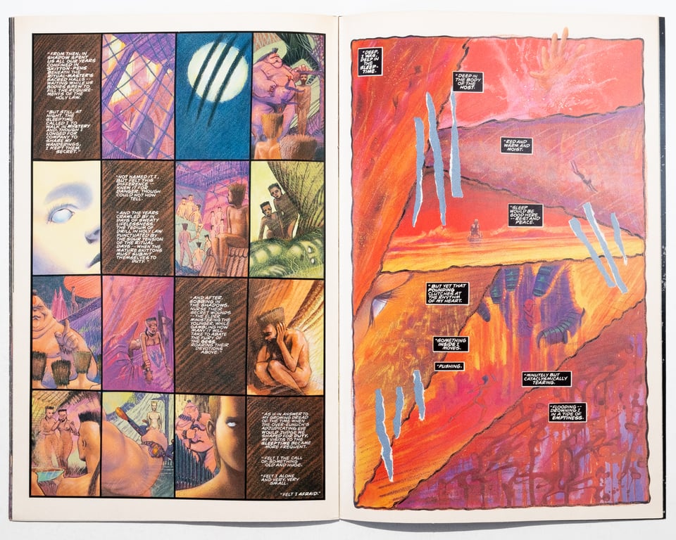 a spread by John Higgins in a much brighter palette. The left page is a 12 panel grid that shows Rumour's childhood with the Gess. The right hand page shows her internal world as she learned how to manipulate the host land