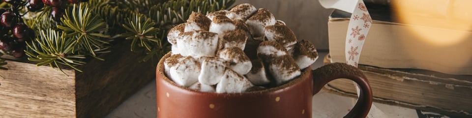 A mug with marshmallows covered in chocolate powder; a stack of books and a basket of greens are nearby