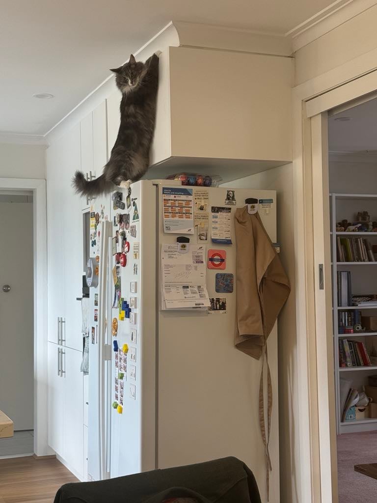 gandalf