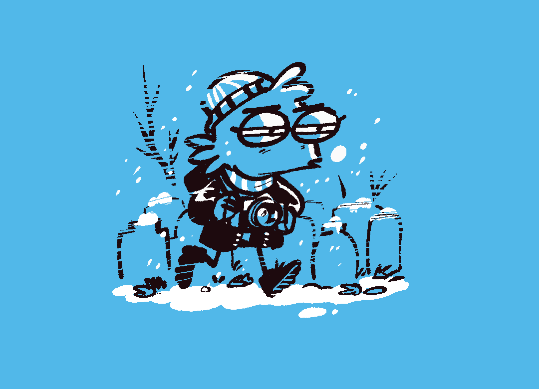 Les Cabtualités de novembre 2025