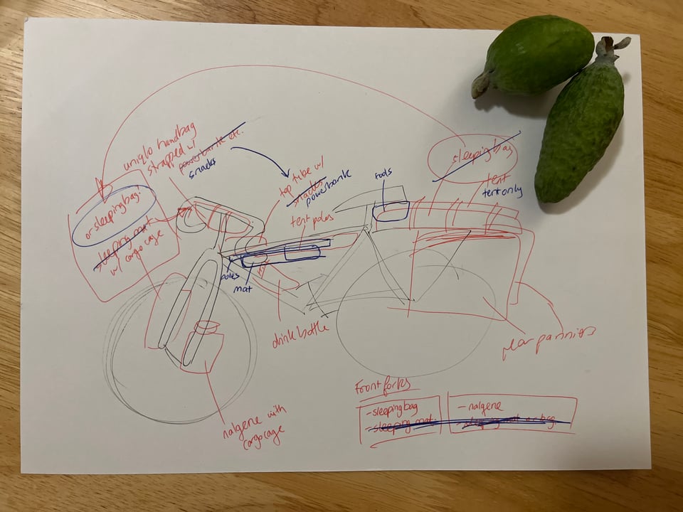 Very rough messy sketch of a bike loaded with bags, lots of cross-outs and amendments. Two feijoa sit on the piece of paper in the corner.