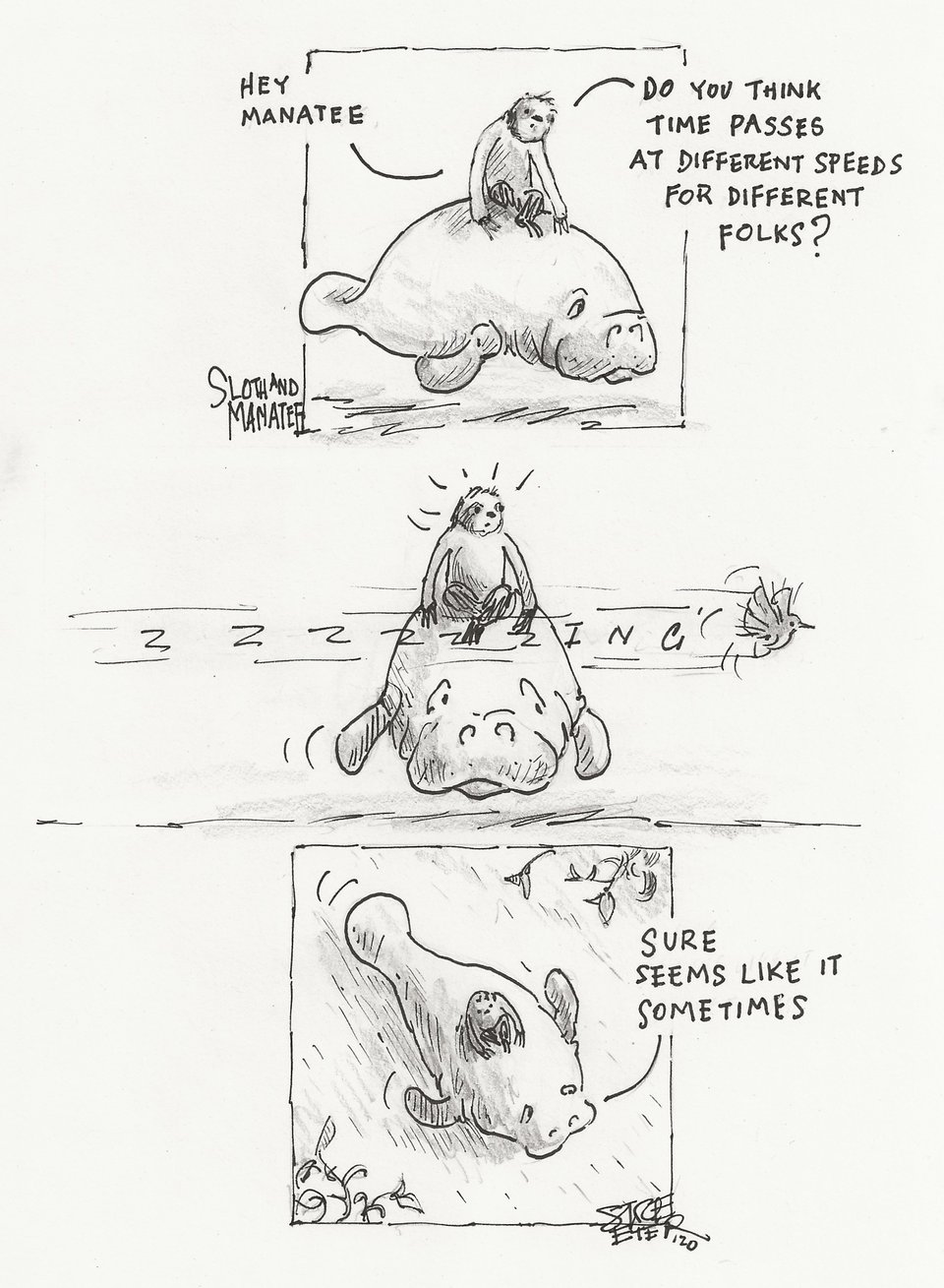Sloth and Manatee comic in which they discuss the passage of time