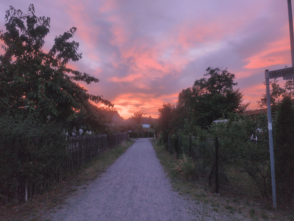The sun is setting in light orange and shades of lavender and grey. The shot is taken down a gravel path lined with tall bushes or short trees, and the sunset is behind a one-story house.