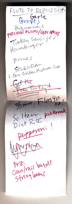 A photo of a discarded shopping list. In order, the items read: FLUTE TO REPAIR SHOP, garlic, grapes, bananas, prune plums  apples, turkey sausages, hambuerger, prunes, splenda, 1 can golden mountain, get the free turkey (this has been crossed out), 35mm film 400 ASA (there is a question mark after ASA), seltzer, diet rite, pink lemonade, pepperoni (with an exclamation mark), wine and tonic (this has been crossed out), prz, cinn/rais bagels, string beans. The items are written alternately in red, blue, and black ink