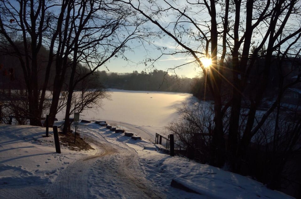 News from the Program in International Nutrition, Cornell University | Issue #76