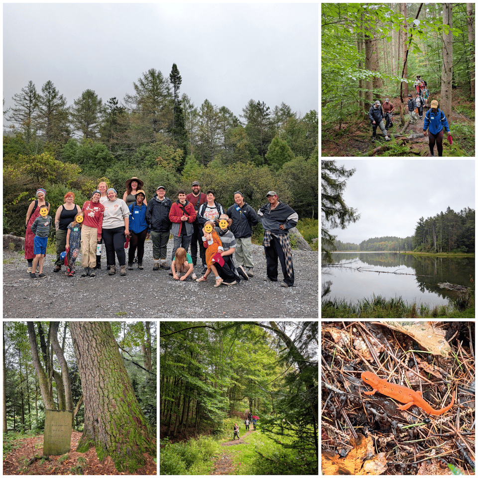 Some shots from our recent hike at Morgan Hill State Forest