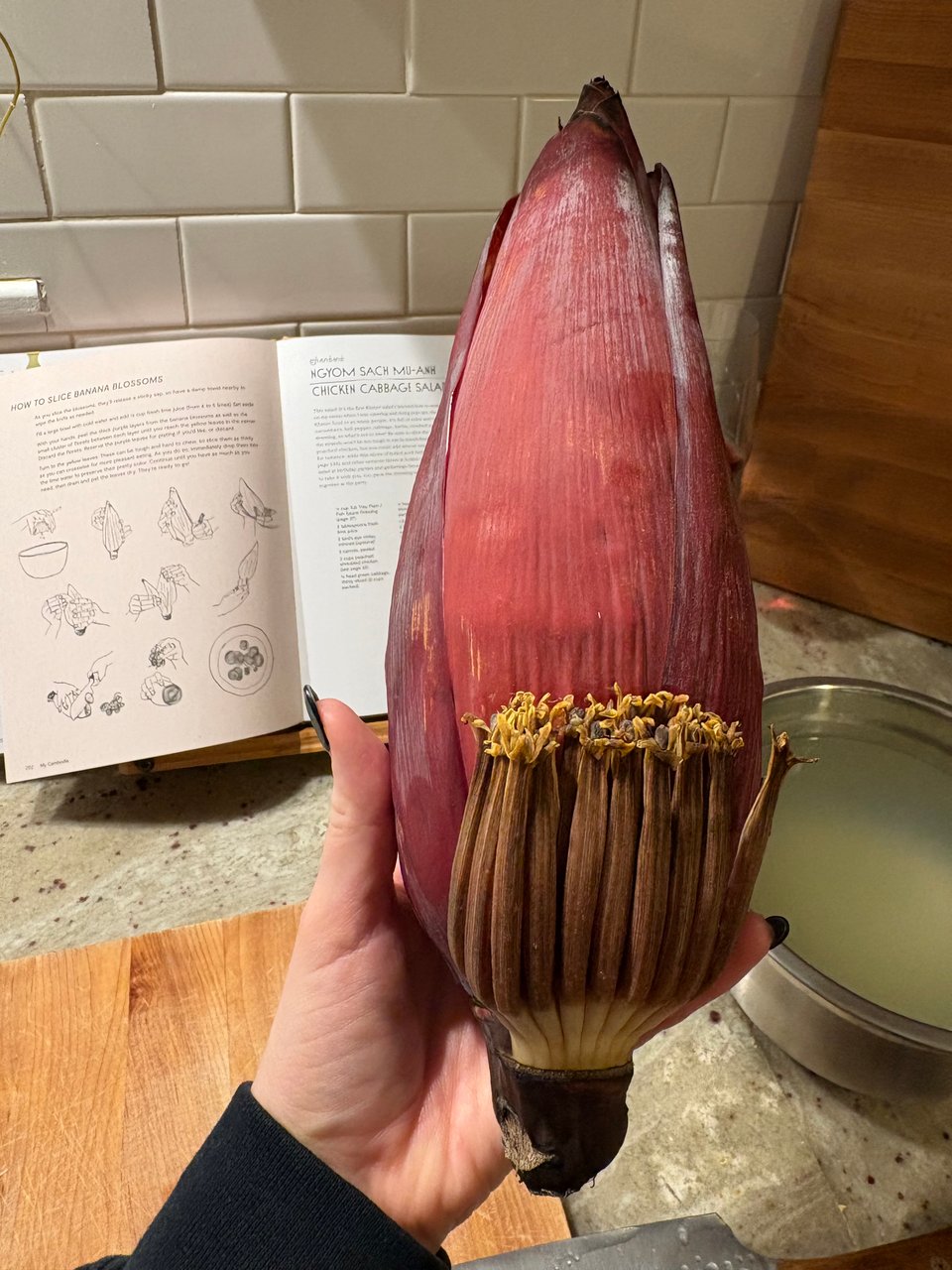Photo of the author holding a large, maroon-ish banana blossom with some over-ripened flowers circling the bottom.
